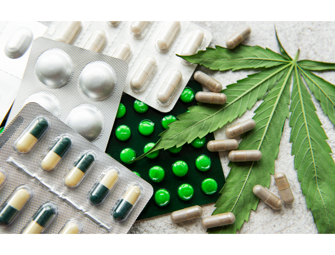 Milhares morrem por opioides. Nenhuma morte por canabidiol: a diferença que salva vidas.